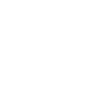 International Coaching Institute